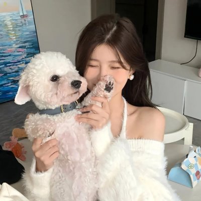 八公犬物语