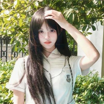 郊区的鸟